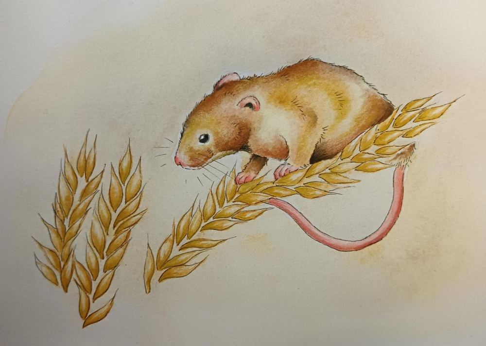 Tollesbury Watercolour Group