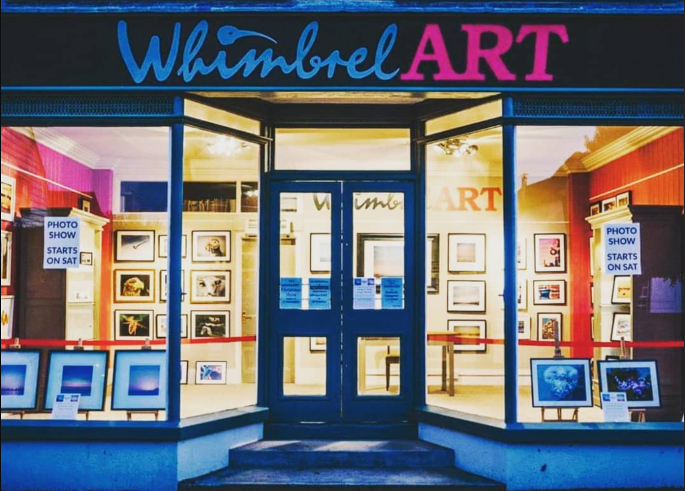 Whimbrel Art Gallery